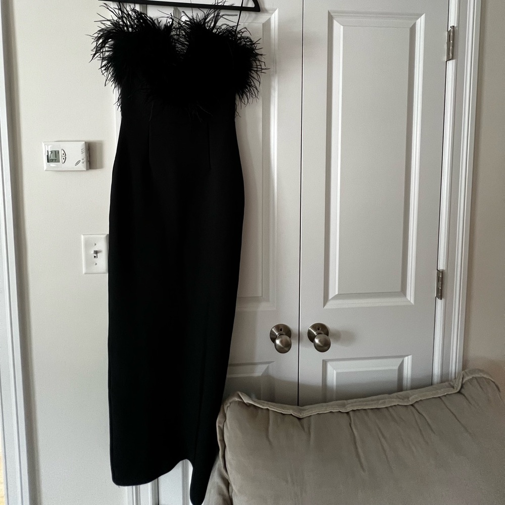 Lisa Marée Art of Silence Feathered Maxi Dress - Picture 8 of 10